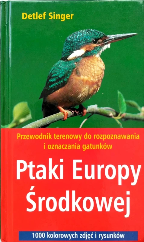 Nowy Dokument 2018-06-12_19.jpg