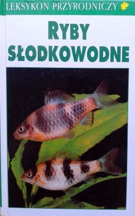 Zdjęcie-0239.jpg