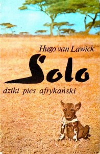 Hugo van Lawick, Solo dziki pies afrykański