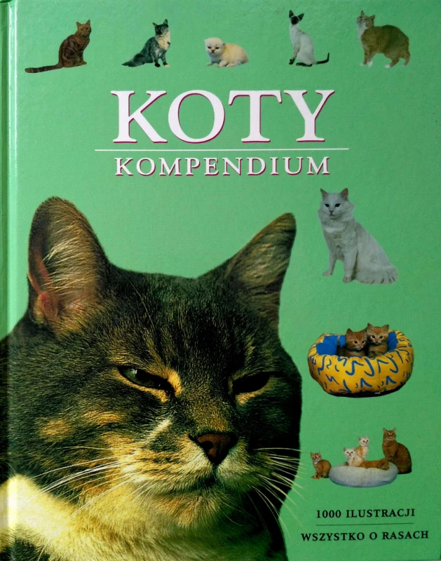 Nowy Dokument 2017-05-30_42.jpg