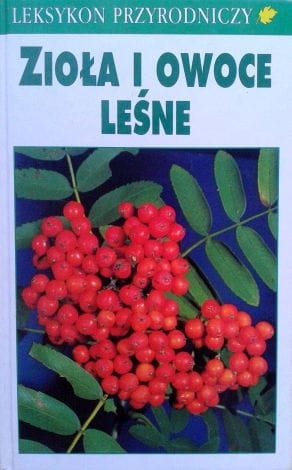 Zdjęcie-0206.jpg