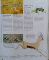 Zdjęcie-0264.jpg