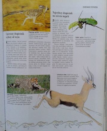 Zdjęcie-0264.jpg