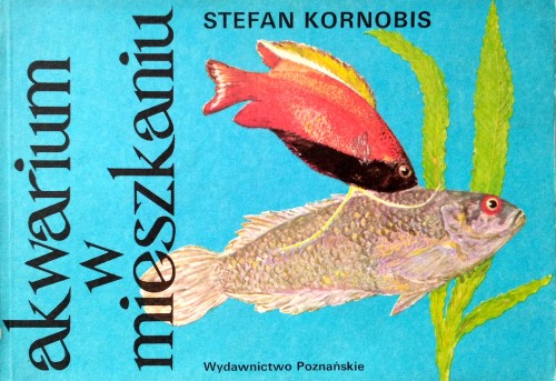 Nowy Dokument 2017-04-03_21.jpg