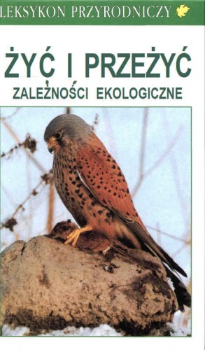 przeżyć.jpg