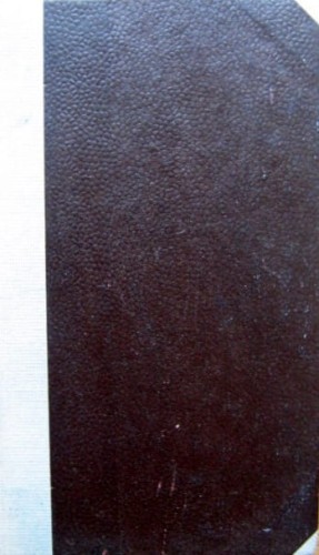 003.JPG