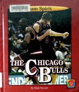 Mark Stewart, The Chicago Bulls Team Spirit