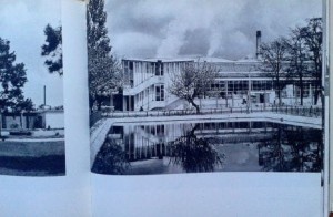 Zdjęcie-0133.jpg