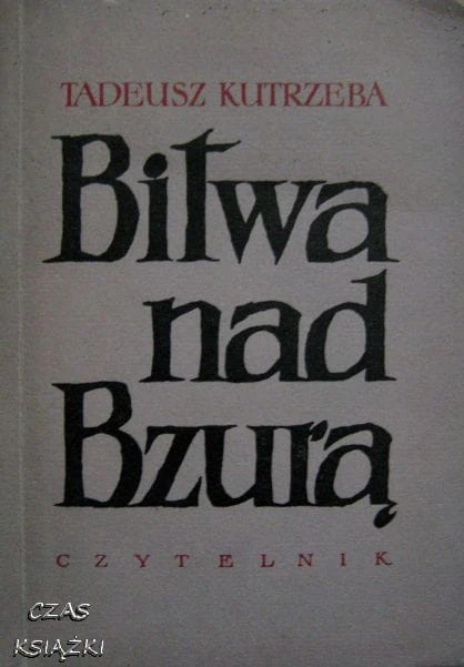 23866120.jpg