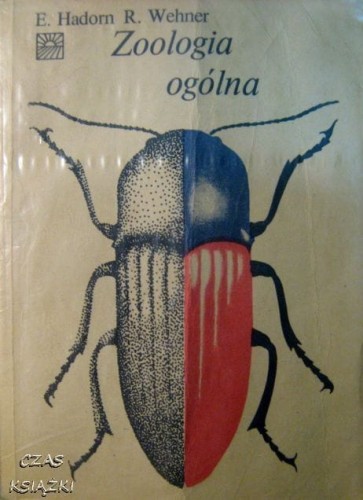24530967.jpg