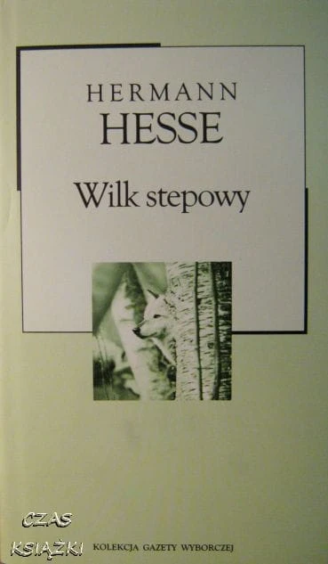 24616769.jpg
