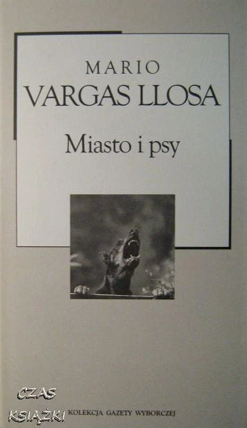 24617617.jpg