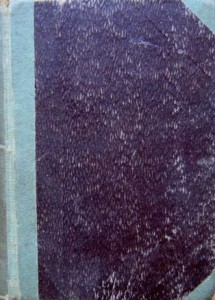 Maria Rodziewiczówna, Z głuszy