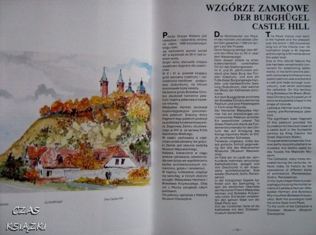 25130974.jpg