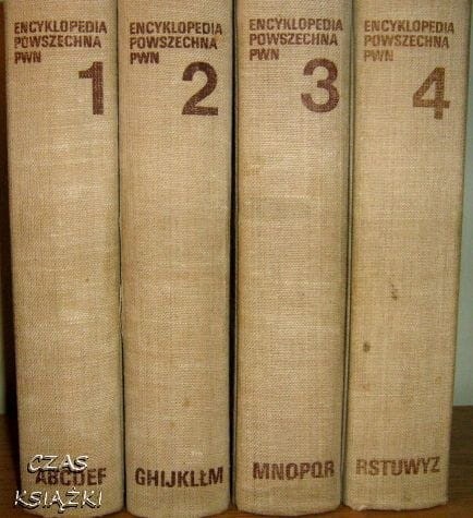 25207608.jpg
