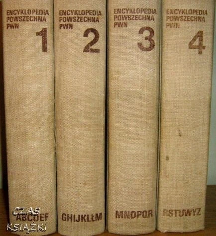 25207608.jpg