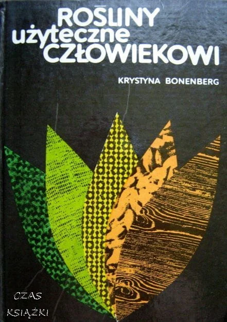 25489751.jpg