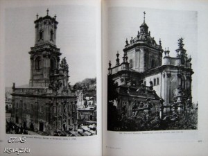 25548887.jpg