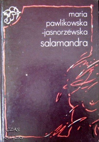 25623265.jpg