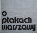 27019063.jpg