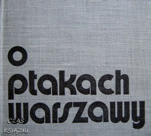 27019063.jpg