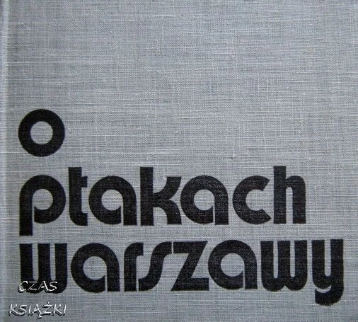 27019063.jpg