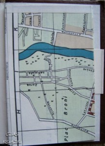 27019352.jpg