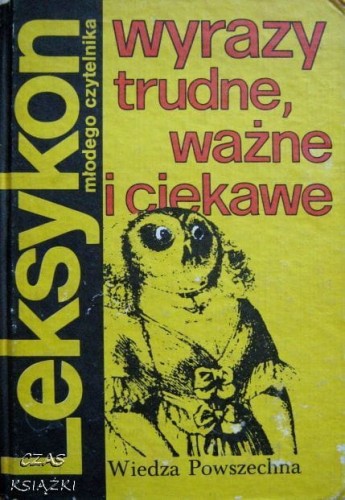 27036402.jpg