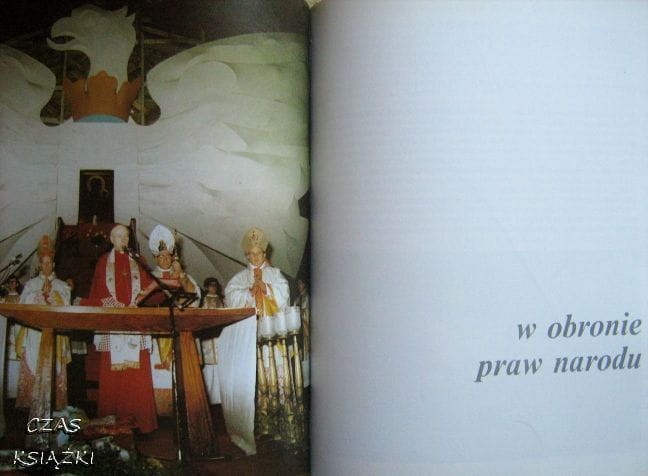 27244193.jpg