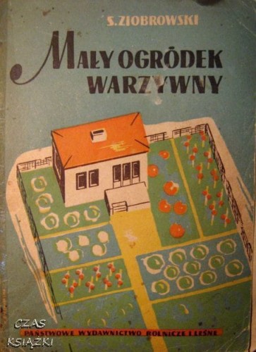 27471016.jpg