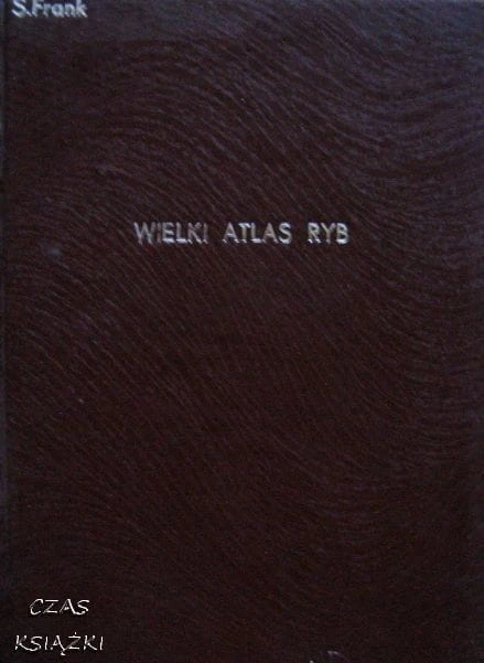 27643826.jpg