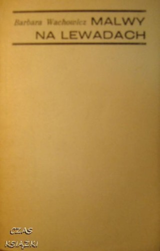 27870813.jpg