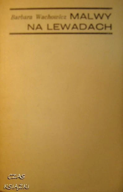 27870813.jpg