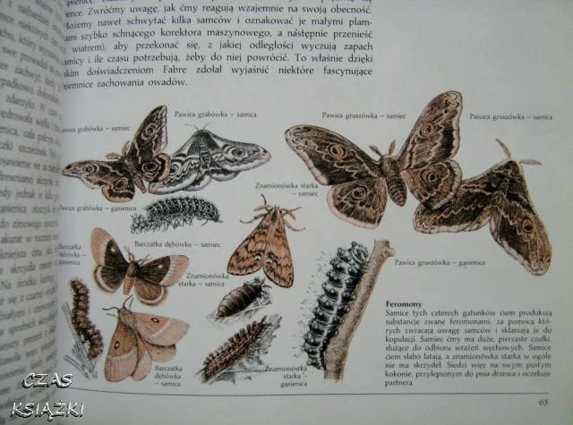 28000414.jpg