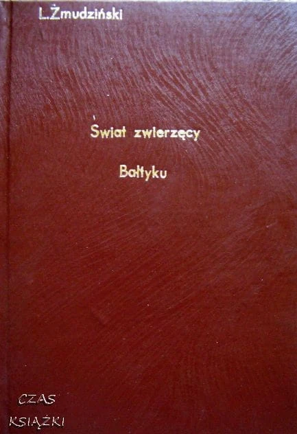 28062768.jpg