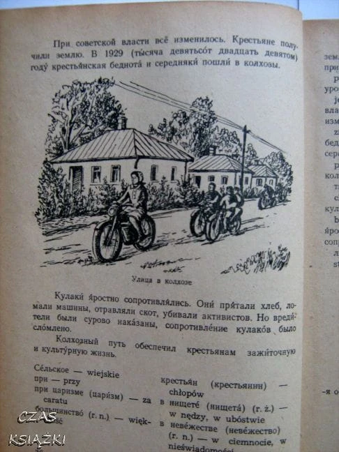 28373411.jpg