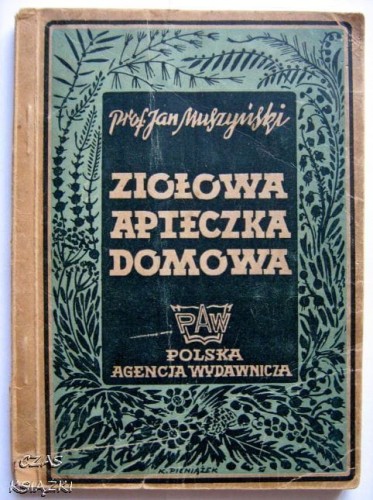 28374034.jpg