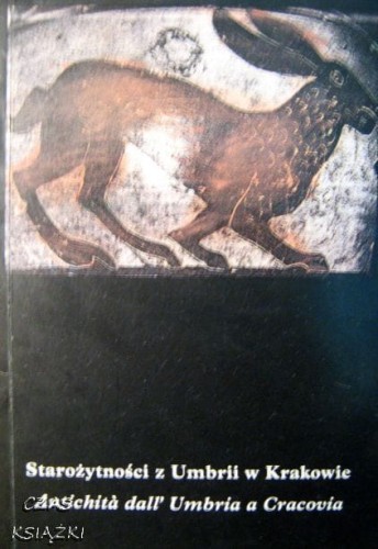 29001358.jpg