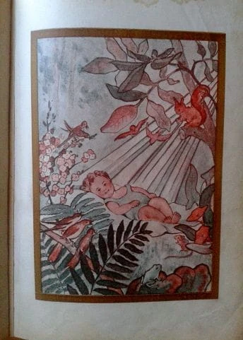 Zdjęcie-0040.jpg