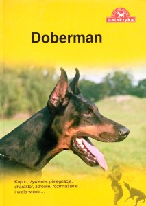 Pies na medal, Doberman Kupno żywienie pielęgnacja