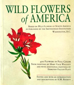 Wild Flowers of America