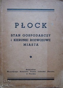 Płock Stan gospodarczy i kierunki rozwojowe miasta