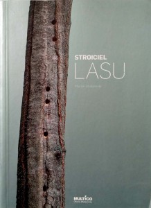 Marek Stokowski, Stroiciel lasu