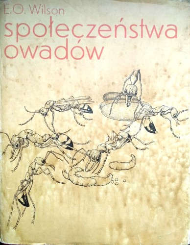 Nowy Dokument 2019-03-01 10.14.03_6.jpg