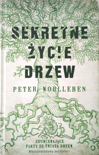 Nowy Dokument 2019-03-11 14.24.52_15.jpg
