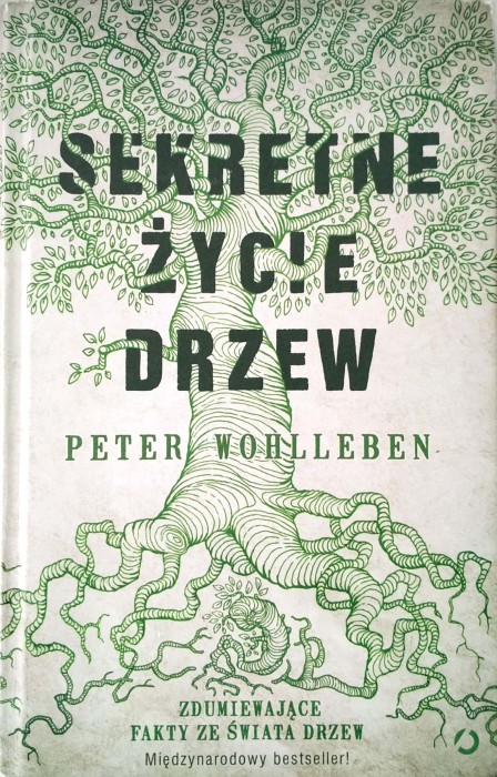 Nowy Dokument 2019-03-11 14.24.52_15.jpg