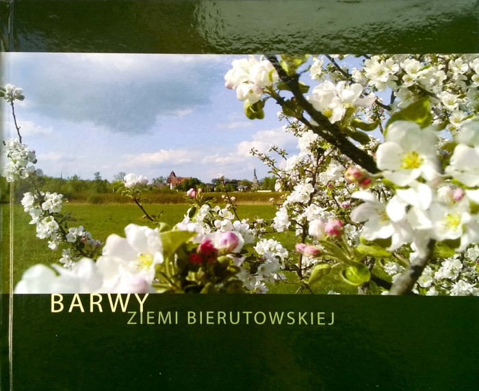 Nowy Dokument 2019-03-22 16.03.29_19.jpg