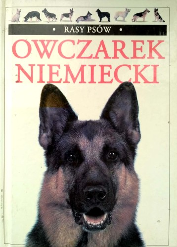 Nowy Dokument 2019-04-08 16.11.41_1.jpg