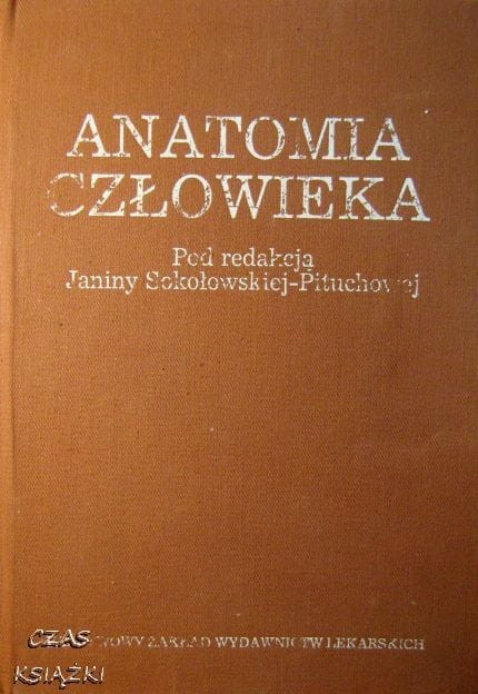 31745155.jpg