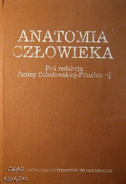 31745155.jpg